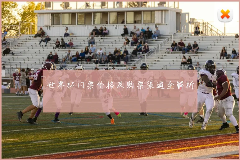 世界杯门票价格及购票渠道全解析