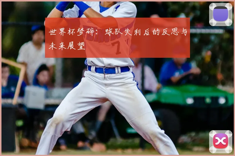 世界杯梦碎：球队失利后的反思与未来展望
